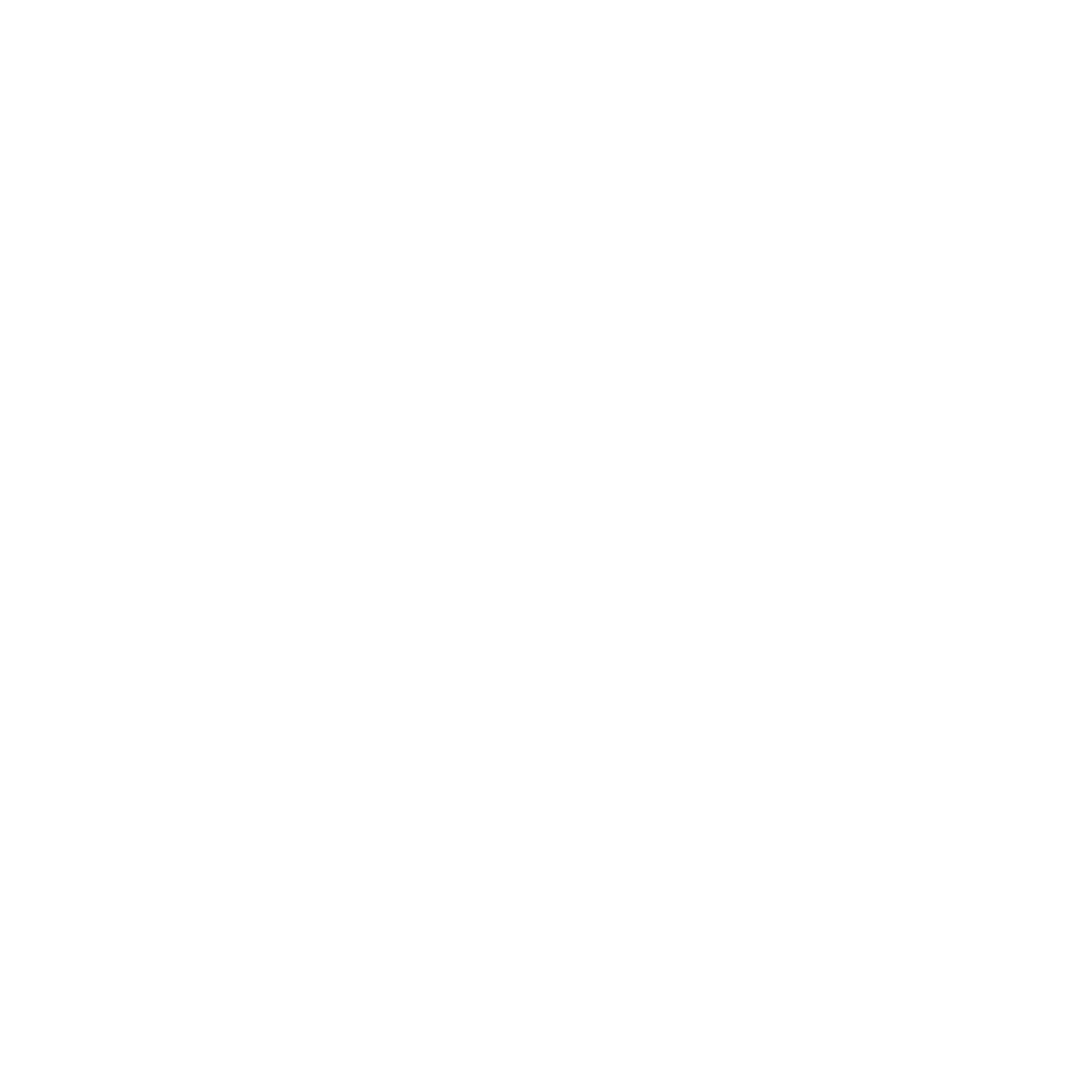 BRIDGE MASTER 2025